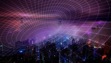 virtual number providers