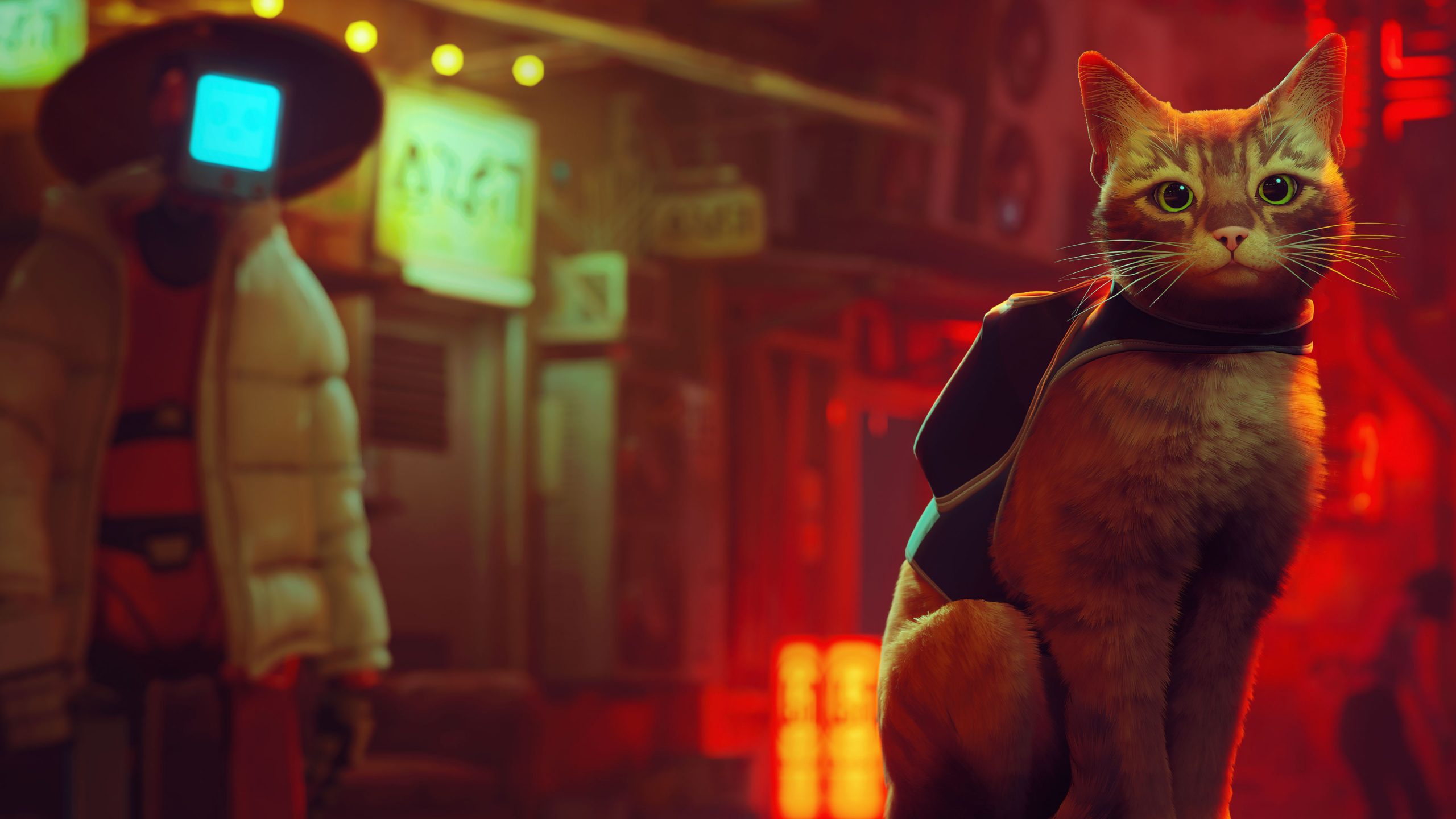 stray wallpaper