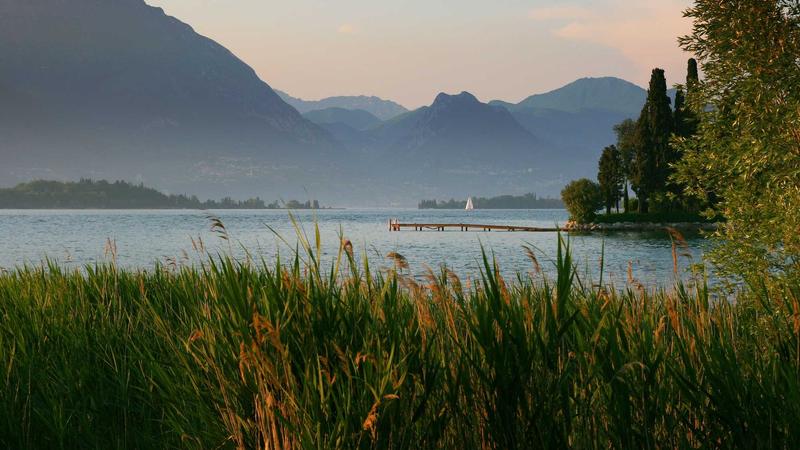 OLED gaming monitor ultrawide display setup