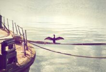 Indie puzzle platformer Dodo Duckie featured image