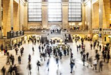 AI companies buying and destroying books for training data